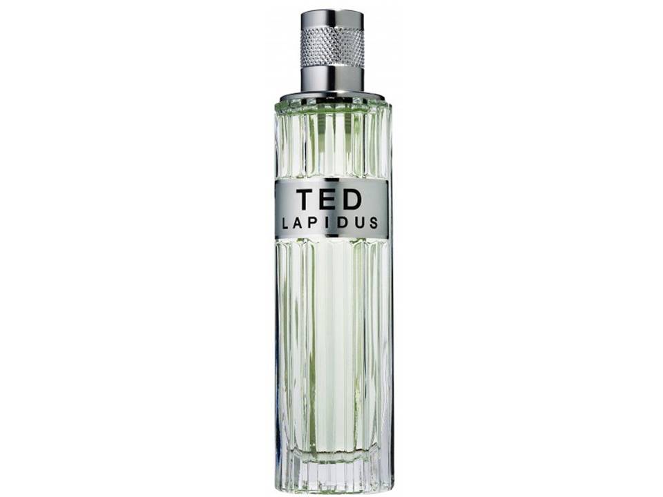 TED pour Homme by Ted Lapidus Eau de Toilette NO TESTER 100 ML.